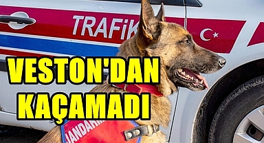 VESTONDAN KAÇAMADI