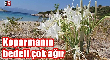 Koparmanın bedeli çok ağır