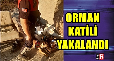 ORMAN KATİLİ YAKALANDI