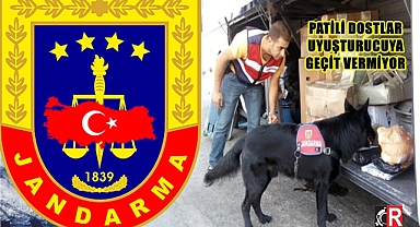 PATİLİ DOSTLAR UYUŞTURUCUYA GEÇİT VERMİYOR