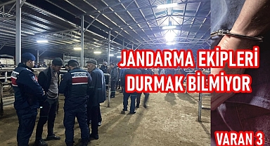 büyükbaş hayvanın kayıp olduğunu ihbar etmiştir.