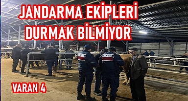 hayvanların kulak küpeleri kontrol edilmiş,