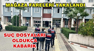 MAĞAZA FARELERİ YAKALANDI