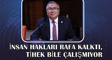 İNSAN HAKLARI RAFA KALKTI, TİHEK BİLE ÇALIŞMIYOR