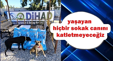 yaşayan hiçbir sokak canını katletmeyeceğiz