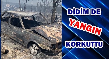 Didim de Yangın Korkuttu
