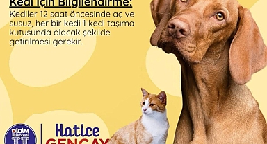 DİDİM BELEDİYESİ'NDEN SOKAK HAYVANLARINA ÜCRETSİZ KISIRLAŞTIRMA ETKİNLİĞİ